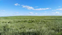 ՈôxƷ