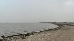 סb޹A