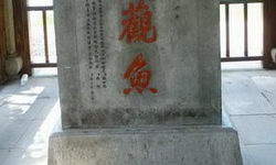 Ξ顰ȩ