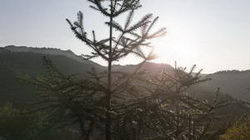 ҷgļtľذ屻